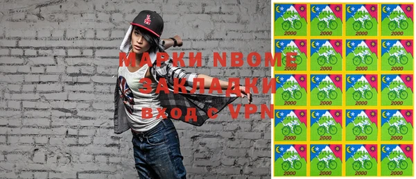 прущие грибы Михайлов