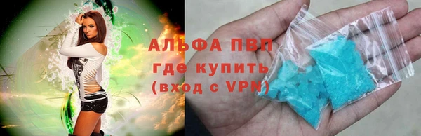 прущие грибы Михайлов