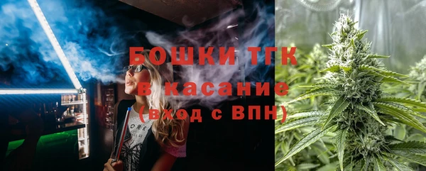 крисы Надым