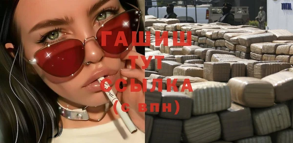 крисы Надым