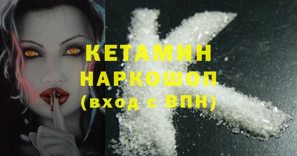 прущие грибы Михайлов