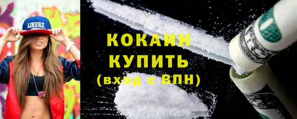 прущие грибы Михайлов