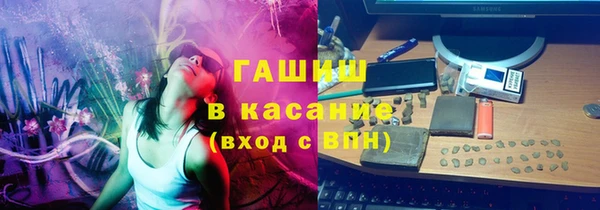 прущие грибы Михайлов